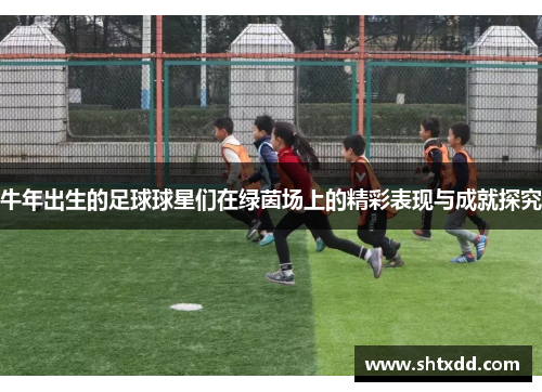 牛年出生的足球球星们在绿茵场上的精彩表现与成就探究