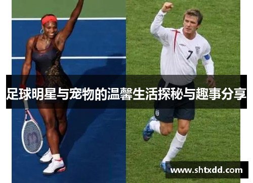 足球明星与宠物的温馨生活探秘与趣事分享